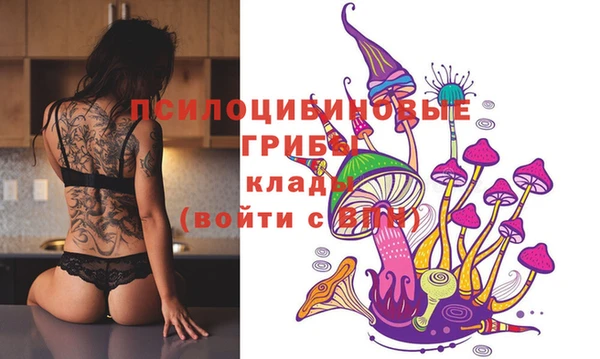 ешки Володарск