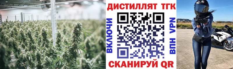 МЕГА как войти  Пятигорск  ТГК вейп с тгк  купить  цена 