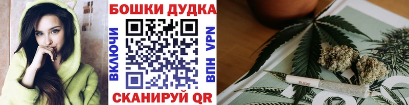что такое наркотик  Пятигорск  Бошки Шишки OG Kush 